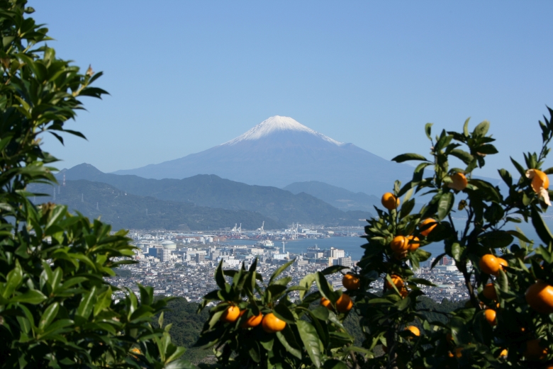 Mt Fuji (Shimizu)
